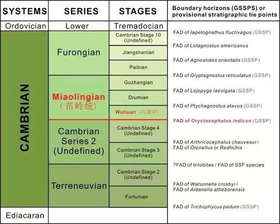 苗岭统和乌溜阶在寒武系地层表中的位置