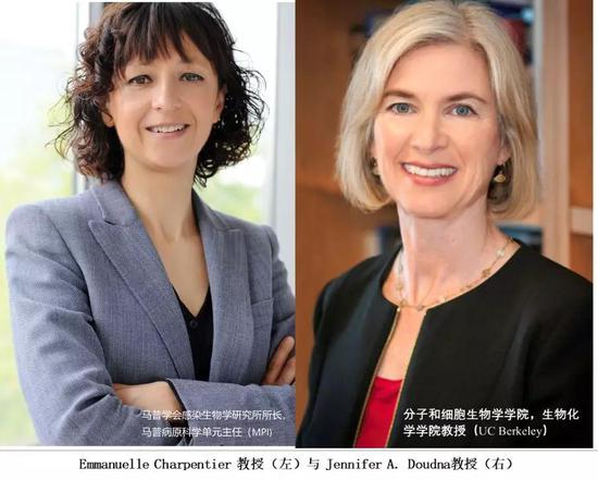 (图片来源:UC Berkeley)
