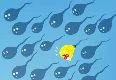 (图源:Genetic Literacy Project)