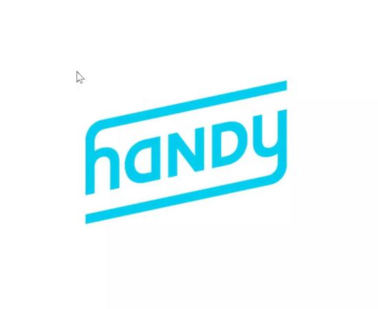 Handy 的企业文化