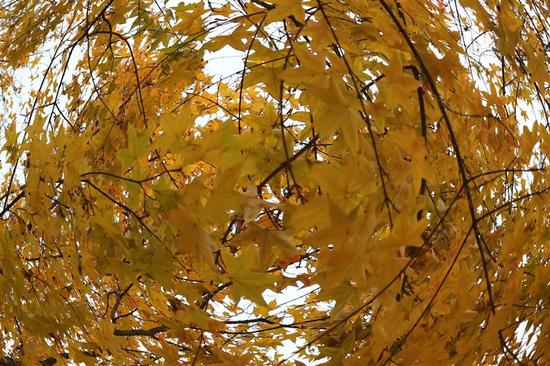 单反画质DC价格 佳能微单EOS M10评测|佳能|微单