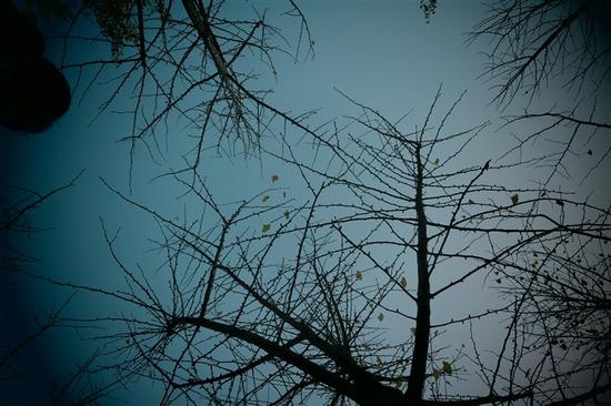 单反画质DC价格 佳能微单EOS M10评测|佳能|微单