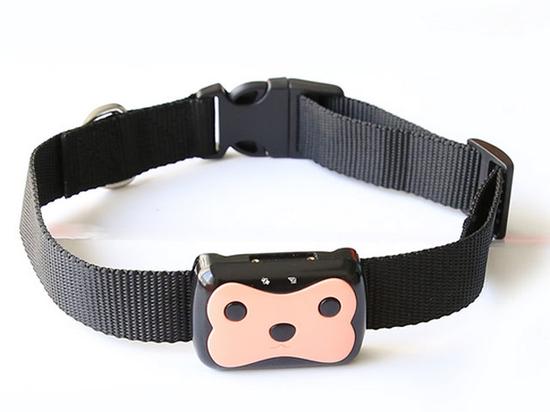 一键喊你的狗回家 迪思特宠物定位器