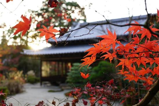 从外观到画质 索尼RX1RII\/徕卡Q相机对比|徕卡