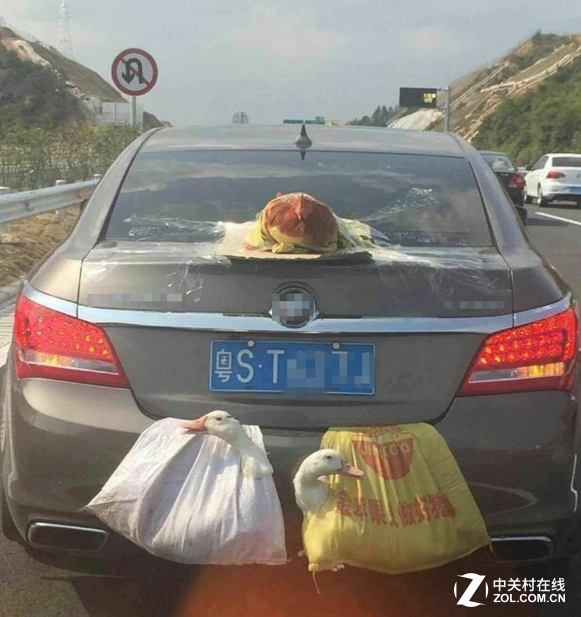 春节返程高峰 "两鸭一鸡"上高速成网红