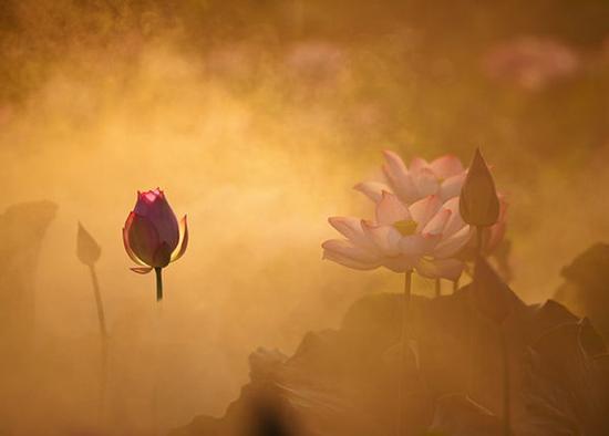 业精于勤荒于嬉 坚持每日拍摄的10个心得