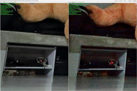 佳能1DXMarkII/1DX动态范围及高感比拼