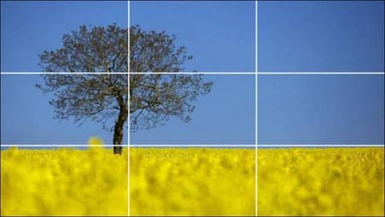 你中枪了吗 三分法构图必看的10大误区(8)