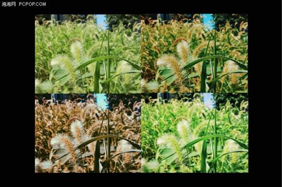 只用ins怎么够 这些app让你称霸朋友圈