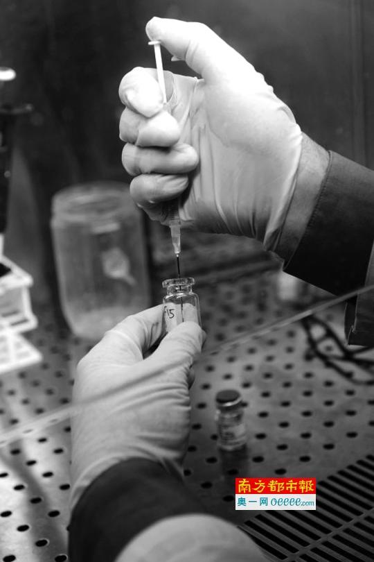 人工智能VS人类:孰胜孰负?|人工智能|人类