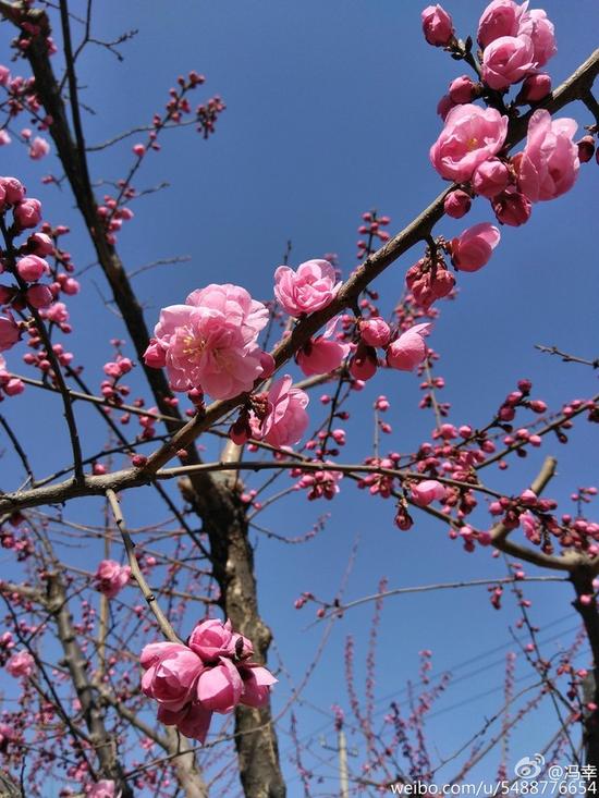 ���ڳ�ھ� ���ӳ����ֻ�2�����ع� 