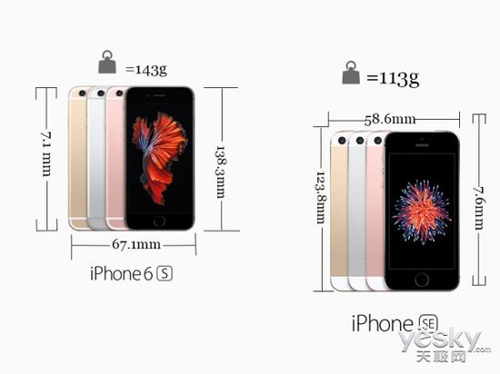 低端不再是小尺寸专利 苹果iPhone SE评测|苹果|iPhone|小尺寸_新浪科技_新浪网