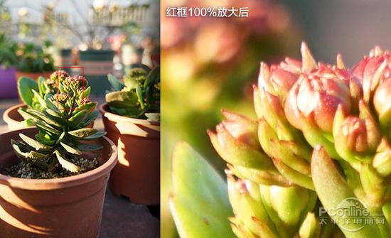 相机够你玩几年?谈谈相机换代那些事儿|相机换