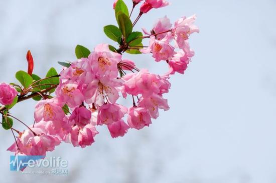 旅拍神器 松下便携大变焦相机ZS110评测(4)