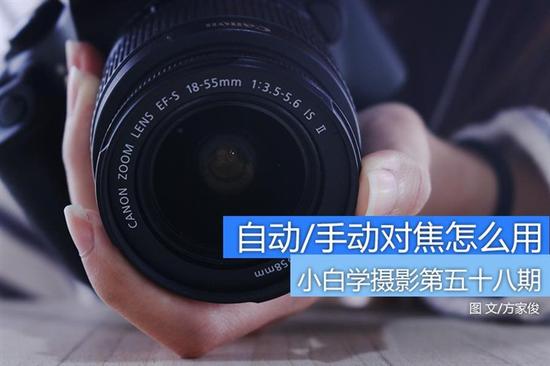 摄影小白是什么意思_2017入门单反相机排名_摄影小白如何选择单反