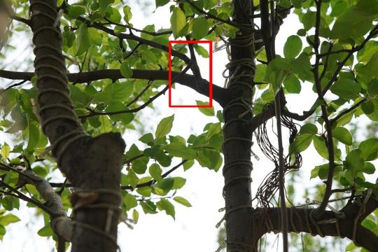 全幅微单大三元 索尼FE 24-70mm GM镜头评测