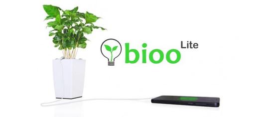 盆栽当充电器？ 光合作用为手机充电 