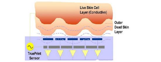 �����в���ǰ�� �ֻ�ָ��ʶ������� 