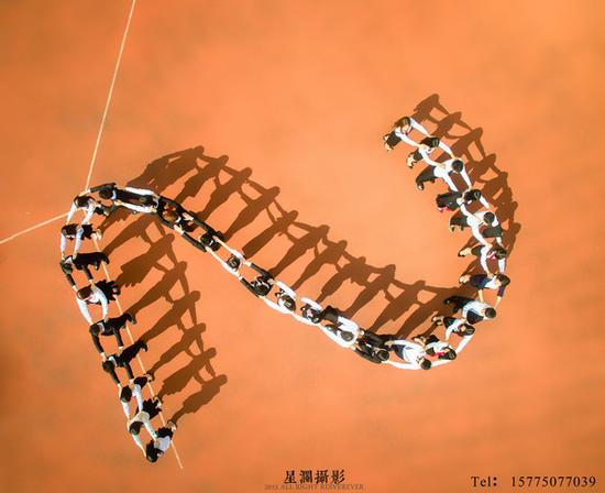 站位比姿势更重要 十招教你打造养眼集体照|拍