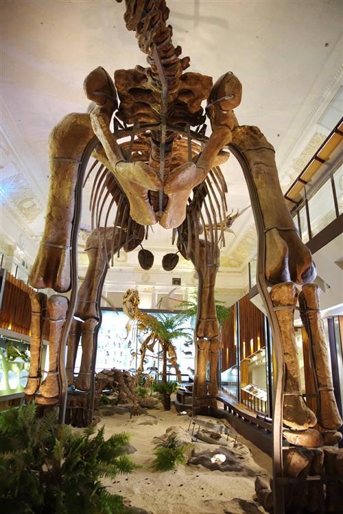 正式跨足全画幅单反市场 宾得K-1相机评测(2)