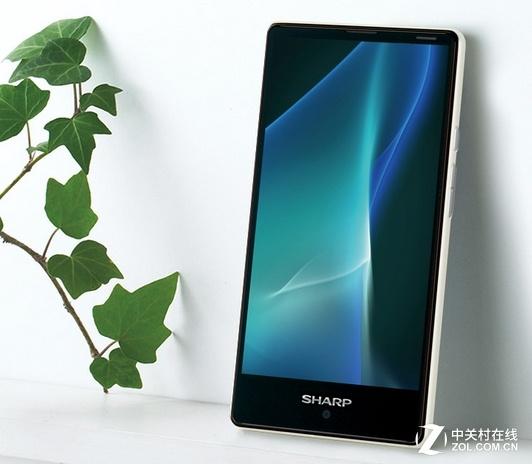 �����»� 