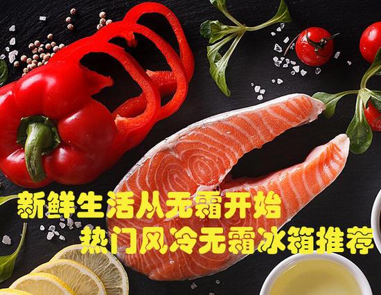 新鮮生活從無(wú)霜開始 風(fēng)冷無(wú)霜冰箱推薦 