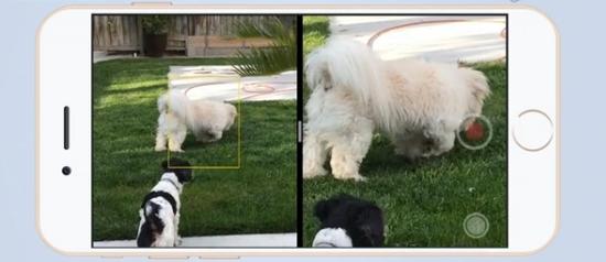 iphone双摄使用技巧 