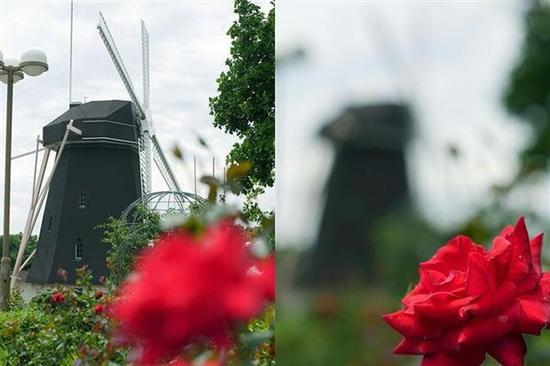 iphone双摄使用技巧 