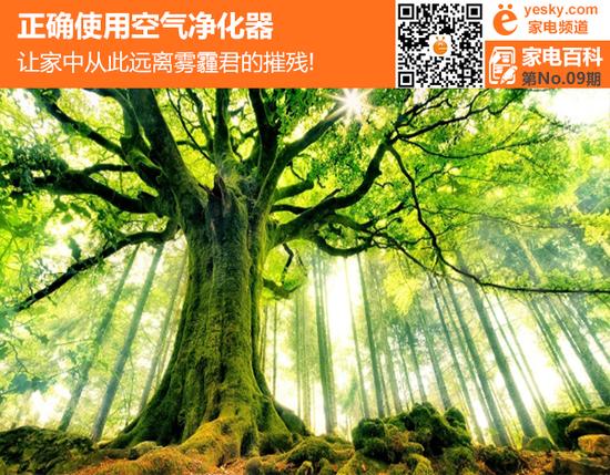 正确使用空气净化器,让家中从此远离雾霾君!