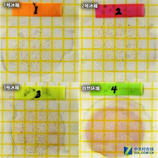 关注保鲜就够了?四大疑惑解读帮您选购冰箱 