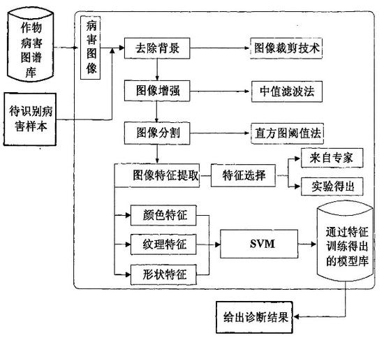 农民别再愁!人工智能帮你诊断作物疾病|人工智