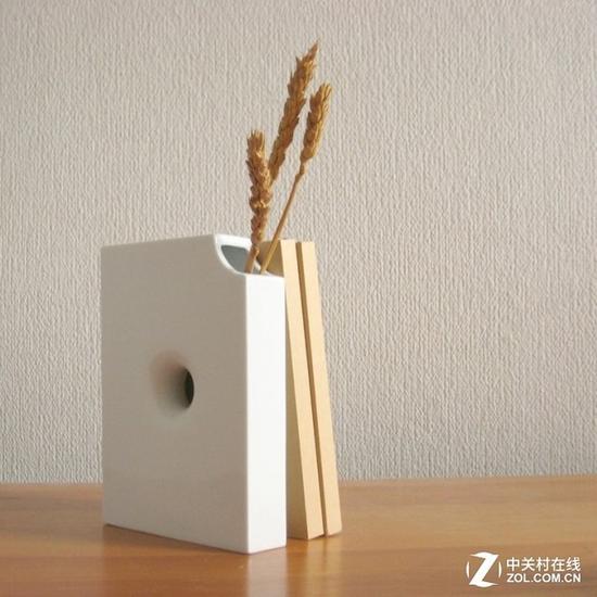 减少空间妆点居室 围观新奇书本花瓶 