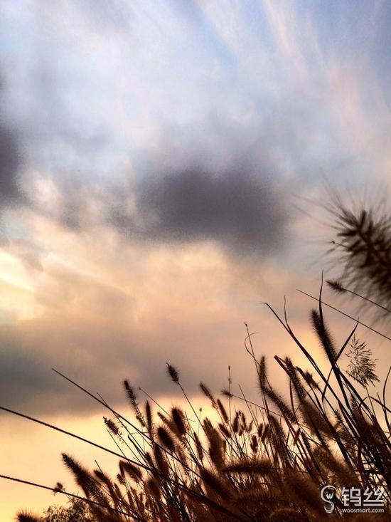 钨丝晒:有了这套镜头 手机拍照也能有单反范儿_pic19