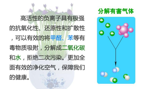 负离子的作用:真能杀菌净化?编辑带你了解“负离子”真相 真能杀菌净化?编辑带你了解“负离子”真相