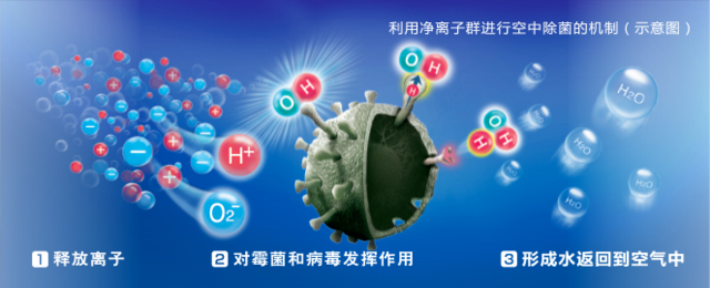 负离子的作用:真能杀菌净化?编辑带你了解“负离子”真相 真能杀菌净化?编辑带你了解“负离子”真相
