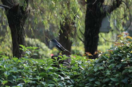 光圈：F6.3 快门：1/1244 sec ISO：1250