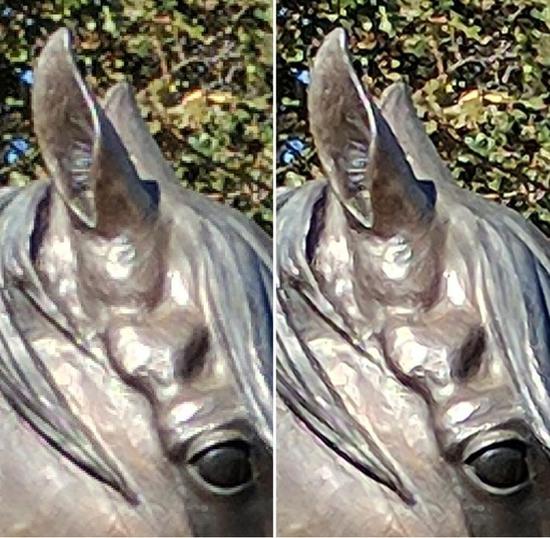529828-google-raisr-horse-head