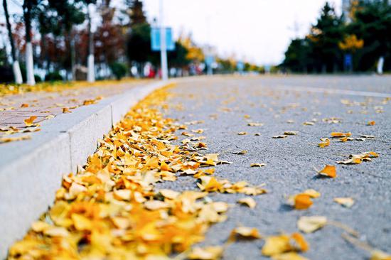 佳能EF&nbsp;35mm&nbsp;f/1.4L&nbsp;II&nbsp;USM镜头实拍样张