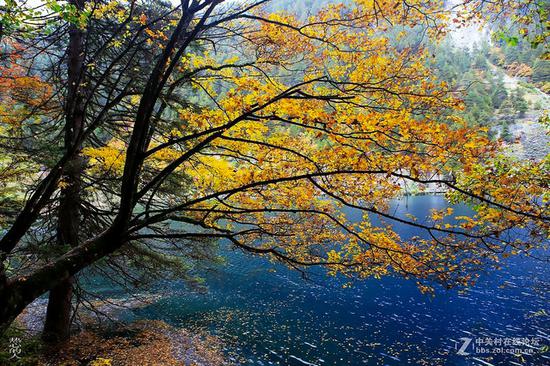 佳能EF&nbsp;35mm&nbsp;f/1.4L&nbsp;II&nbsp;USM镜头实拍样张