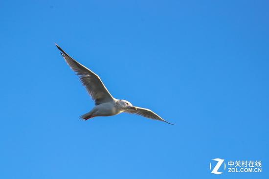 佳能EOS 5D Mark IV实拍样张