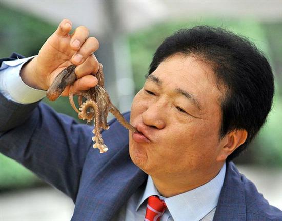 章鱼世界:盘点章鱼超怪异事实:3个心脏9个大脑