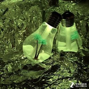 紫色和绿色