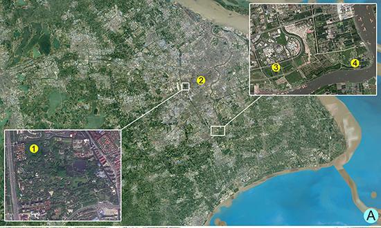 西郊公园毛角蚁甲分布地图 朱建青 图