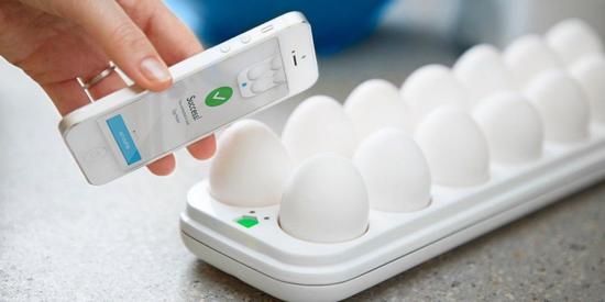 Quirky Egg Minder解决了一个跟时间一样古老的问题:“为什么我不能让我的蛋托与网络互联?”
