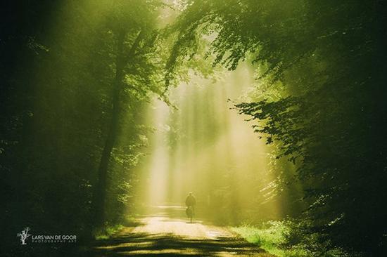荷兰摄影师Lars van de Goor摄影作品