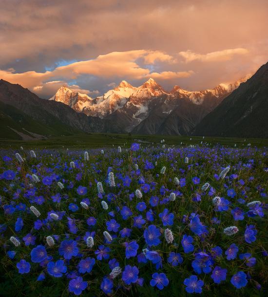 这是我在新疆天山于一场区域性的夏季风暴前夕所拍摄