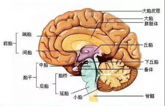 人死如灯灭:人死如灯灭:从生到死这段时间,究竟发生了什么?