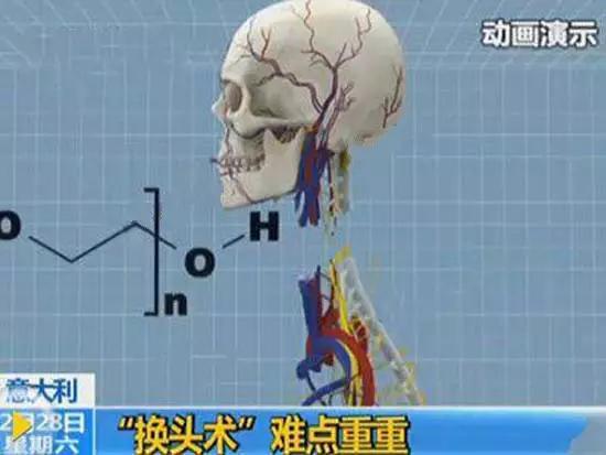 （本文由北京科技报全媒体中心采编制作，图片来源于网络，转载请联系授权：bjkjbeditor@163.com，违者必究）