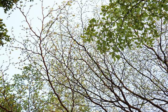 光圈：F5 快门：1/128 sec ISO：100