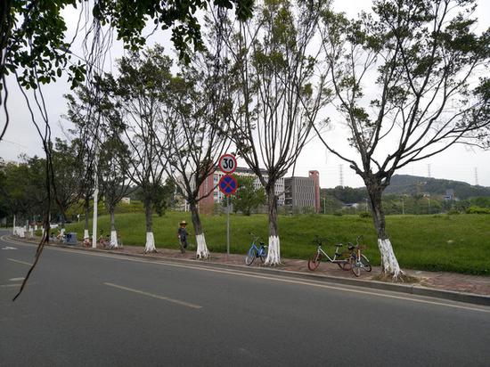 努比亚Z17mini评测:双摄玩法更多,还有6GB运存